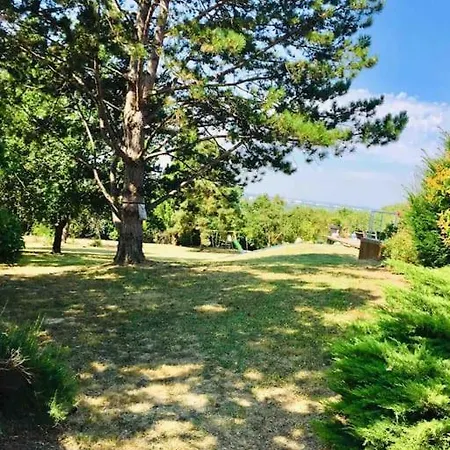 250 M2, Piscine A 10 Minutes De Toulouse Montrabe