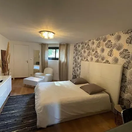 Villa 250 M2, Piscine A 10 Minutes De Toulouse *