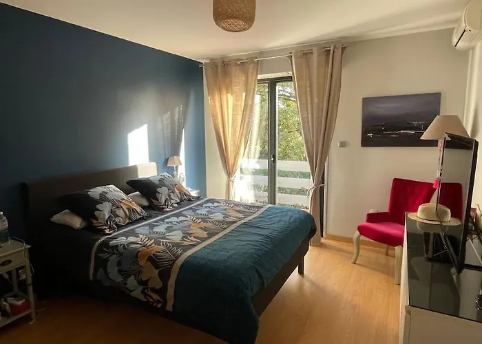 250 M2, Piscine A 10 Minutes De Toulouse Montrabe