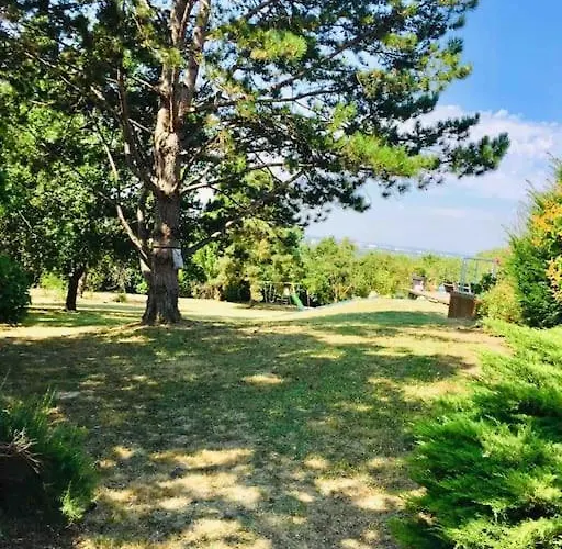 250 M2, Piscine A 10 Minutes De Toulouse Montrabe