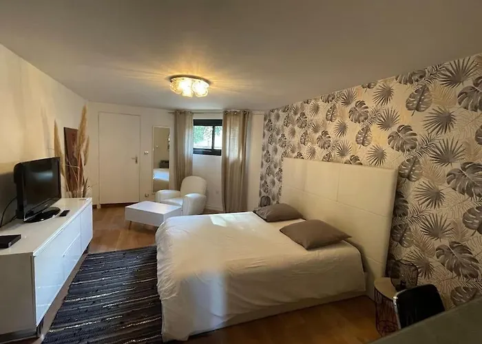 ヴィラ 250 M2, Piscine A 10 Minutes De Toulouse *